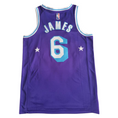 Load image into Gallery viewer, Lebron James #6 Vintage Los Angeles Lakers Stars Jersey
