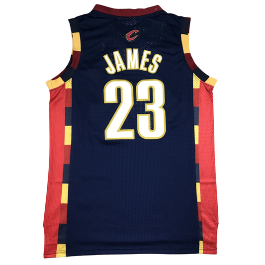 Lebron James #23 Vintage Cleveland Cavaliers The Land Jersey