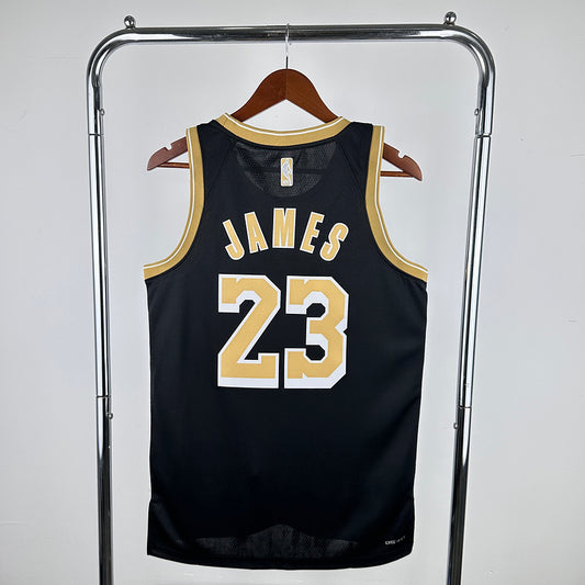 Lebron James #23 Los Angeles Lakers NBA BLACK & GOLD Edition 2024-25 Swingman Jersey